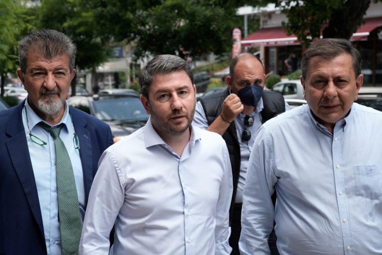 Νίκος Ανδρουλάκης: «Η κυβέρνηση της Νέας Δημοκρατίας βλάπτει σοβαρά το Εθνικό Σύστημα Υγείας»