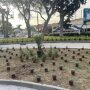Πρασινίζει η πλατεία Κολοκοτρώνη στο Ναύπλιο