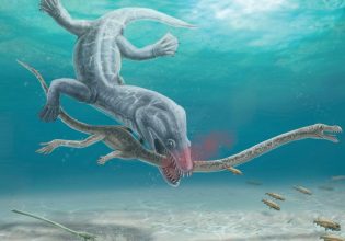 Αχίλλειος λαιμός: Απολιθώματα 240 εκατ. ετών αποκαλύπτουν μακάβριες σκηνές αποκεφαλισμού