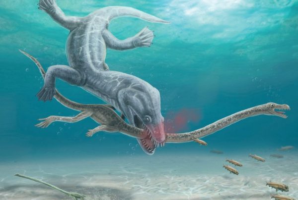 Αχίλλειος λαιμός: Απολιθώματα 240 εκατ. ετών αποκαλύπτουν μακάβριες σκηνές αποκεφαλισμού