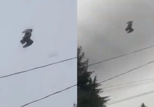 Περιστέρι «κολλημένο» στον αέρα – Το μυστηριώδες θέαμα που έχει τρελάνει το διαδίκτυο