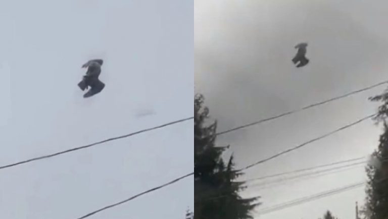 Περιστέρι «κολλημένο» στον αέρα – Το μυστηριώδες θέαμα που έχει τρελάνει το διαδίκτυο