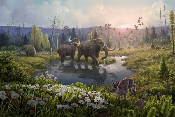 Αρκτική: To αρχαιότερο DNA που έχει βρεθεί ποτέ αποκαλύπτει έναν «χαμένο κόσμο»