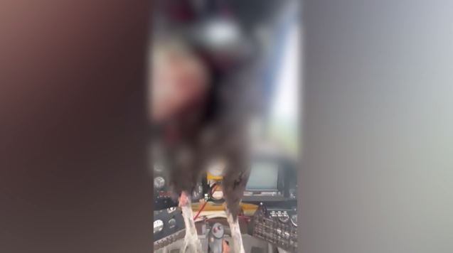 Τεράστιο πουλί χτύπησε στρατιωτικό αεροπλάνο στο Εκουαδόρ – Τραυματίστηκε στο πρόσωπο ο πιλότος