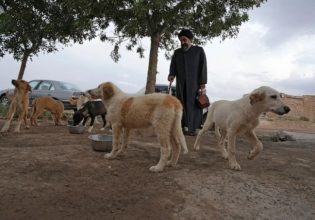 Κόντρα στο επίσημο Ιράν: Ένας σιίτης κληρικός αψηφά το θεοκρατικό καθεστώς και φροντίζει τα αδέσποτα  