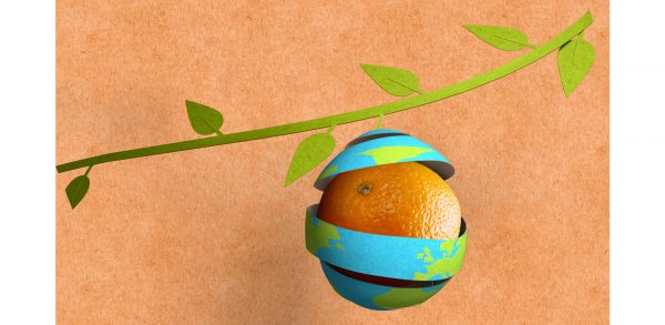 Μείωσε τη σπατάλη τροφίμων επιλέγοντας χάρτινες συσκευασίες Tetra Pak®