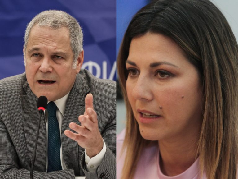 Θάνος Τζήμερος: Άγαμος και άτεκνος Υπουργός Οικογένειας είναι λάθος