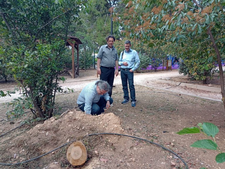 Έρευνες διεξήγαγαν Γερμανοί επιστήμονες στην Ηλιούπολη