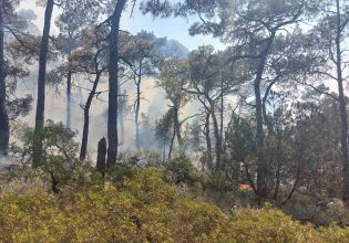 Μεγάλη φωτιά στη Ρόδο – «Μάχη» να μην επεκταθεί σε πευκοδάσος
