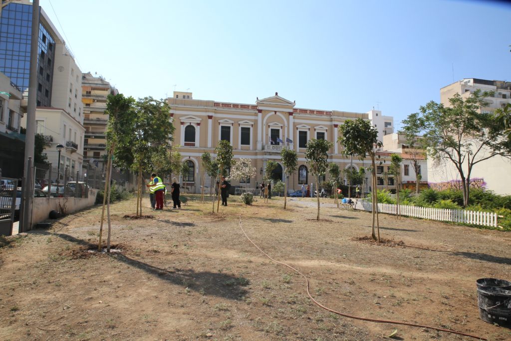 Ανάπλαση πρασίνου στο οικόπεδο απέναντι από τη Δημοτική Πινακοθήκη Πειραιά