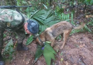 Αγνοούμενα παιδιά στην Κολομβία: Μεγαλώνει η αγωνία – Χάθηκε ειδικά εκπαιδευμένος σκύλος