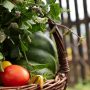 ΕΕ: Πώς θα προστατευτούν τα ποιοτικά αγροτικά προϊόντα με γεωγραφικές ενδείξεις