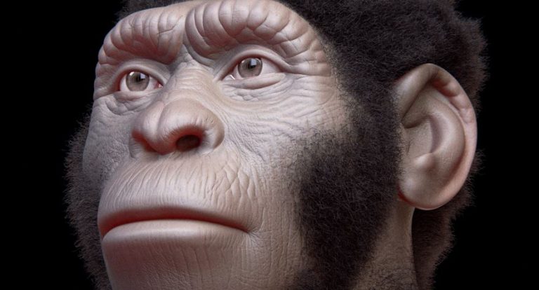 Homo naledi:  Όχι πολύς εγκέφαλος, αλλά πολλή τέχνη