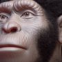 Homo naledi:  Όχι πολύς εγκέφαλος, αλλά πολλή τέχνη
