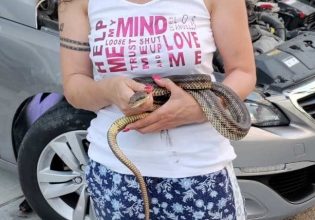 Θεσσαλονίκη: Βρήκε φίδι στο καπό του ταξί