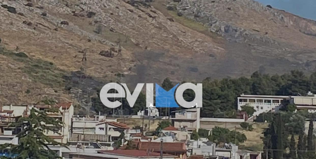 Εύβοια: Φωτιά κοντά στο νοσοκομείο της Χαλκίδας