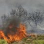 Νέα φωτιά στον Ασπρόπυργο: Καίγεται έκταση με χαμηλή βλάστηση