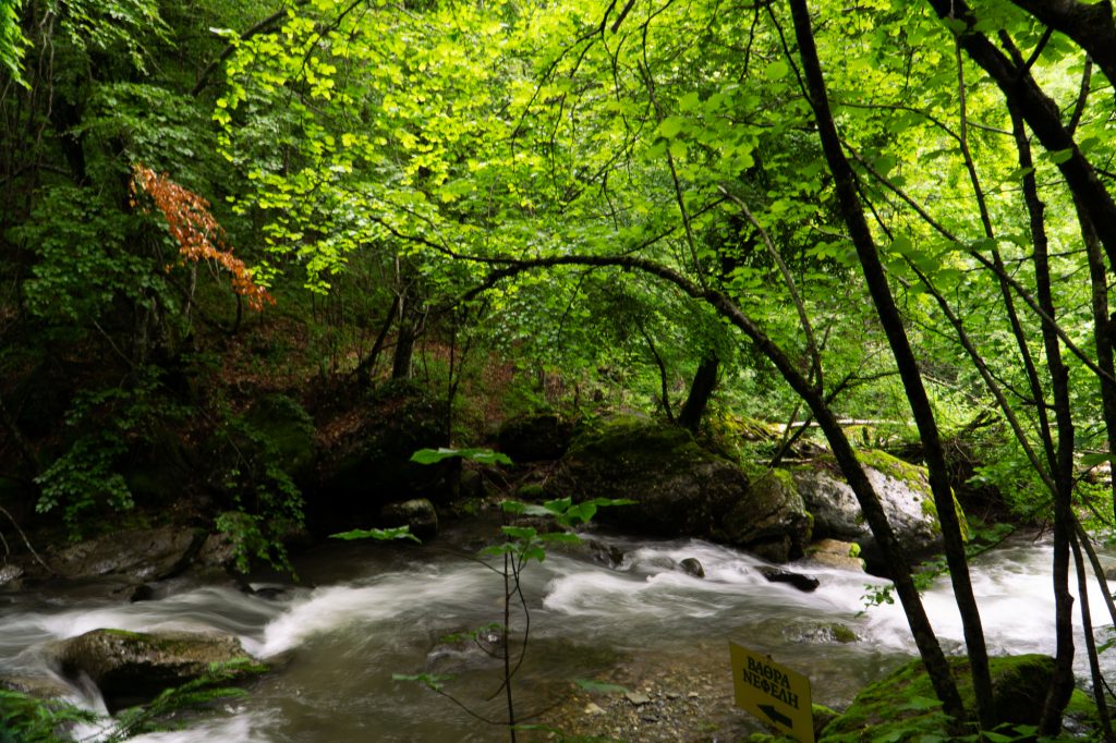 Διακοπές στη φύση και εναλλακτικές δραστηριότητες για το καλοκαίρι «ψηφίζουν» πολλοί νέοι
