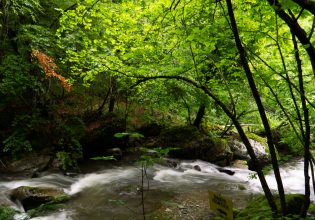 Διακοπές στη φύση και εναλλακτικές δραστηριότητες για το καλοκαίρι «ψηφίζουν» πολλοί νέοι