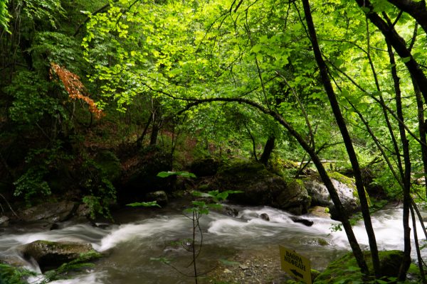 Διακοπές στη φύση και εναλλακτικές δραστηριότητες για το καλοκαίρι «ψηφίζουν» πολλοί νέοι