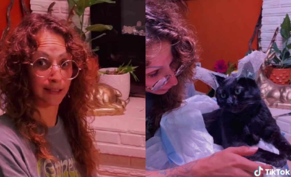 TikTok: Βαλσάμωσε τη γάτα της για να την έχει πάντα μαζί της