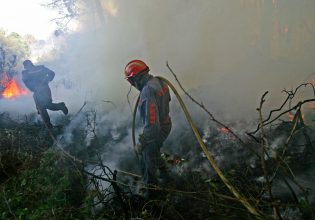 Καλοκαίρι 2023: Ξηρασία, πλημμύρες, καύσωνες και ασθένειες προβλέπουν οι επιστήμονες