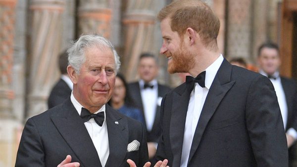 Πρίγκιπας Χάρι: Δεν έλαβε πρόσκληση για την παρέλαση γενεθλίων του βασιλιά