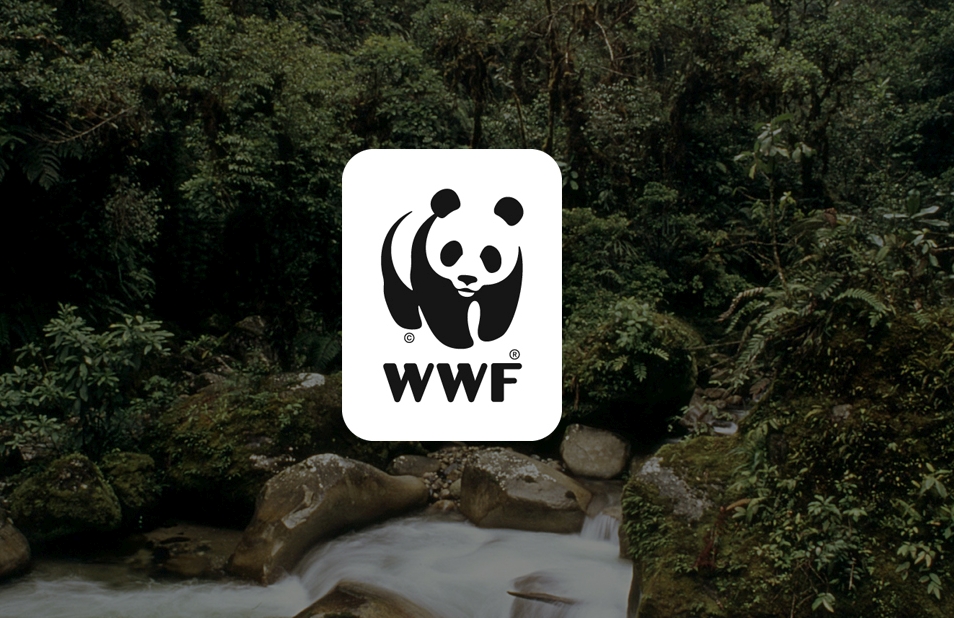 Ρωσία: Απαγορεύει τη WWF ως απειλή για τη βιομηχανία ορυκτών καυσίμων