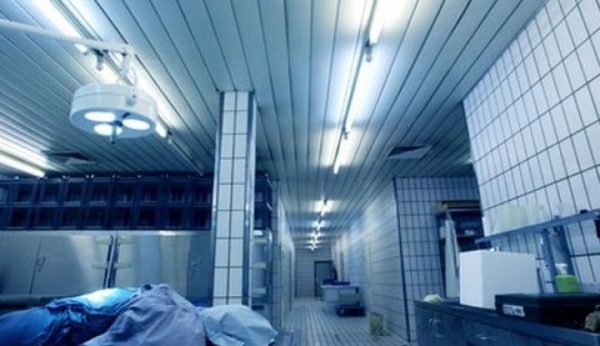 ΗΠΑ: Ο διευθυντής του νεκροτομείου της σχολής ιατρικής του Χάρβαρντ διώκεται για εμπορία ανθρωπίνων οργάνων και λειψάνων