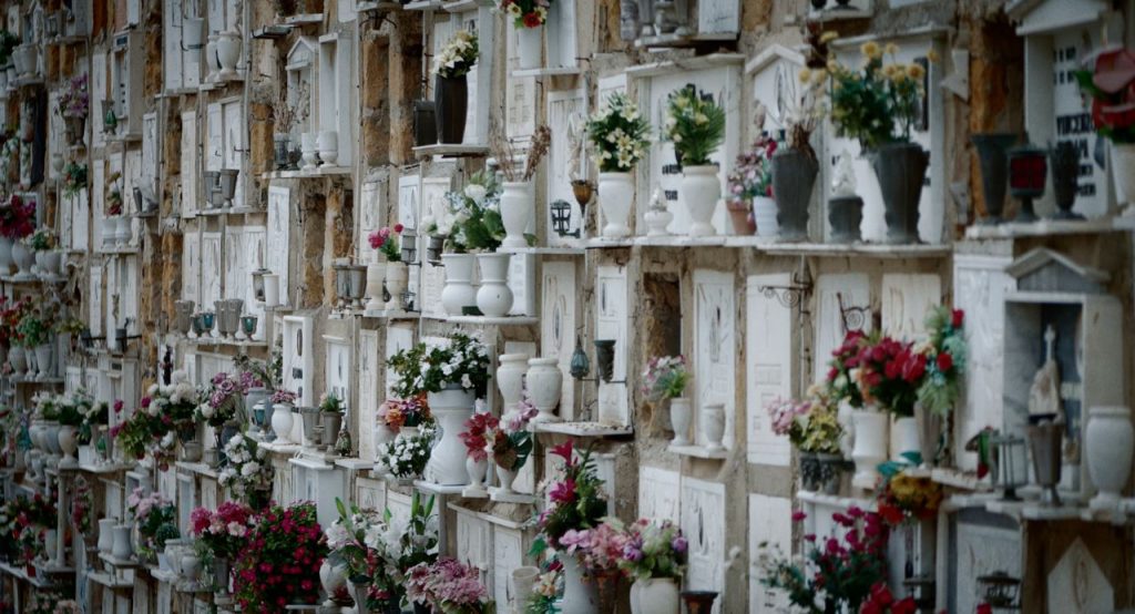 Αναζητώντας την Αναστάζια