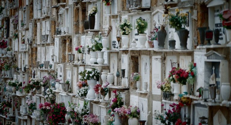 Αναζητώντας την Αναστάζια