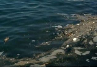 Γέμισε πάλι με νεκρά ποντίκια ο Θερμαϊκός