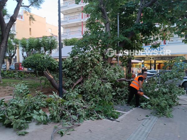 Χανιά: Μεγάλο κλαδί έπεσε στον δημοτικό κήπο – Από τύχη δεν τραυματίστηκε παιδάκι