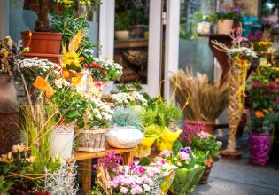 Διάρρηξη σε φυτώριο: Έκλεψε χώμα, μπιγκόνιες και ιβίσκους – Η επεισοδιακή σύλληψη