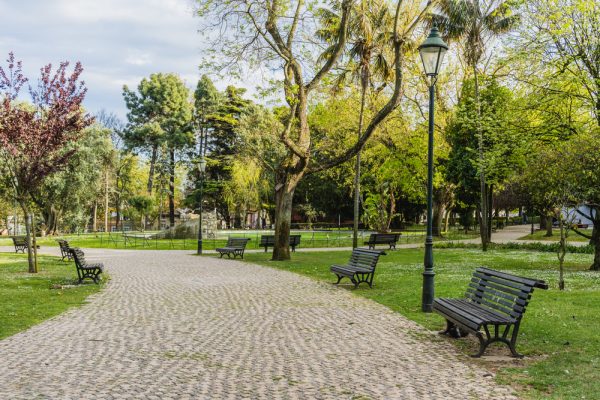 Καλοκαίρι στα πάρκα της πόλης