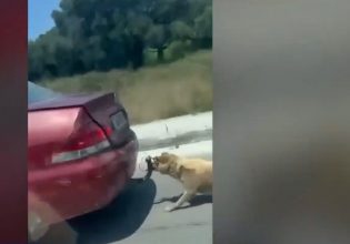 Εξοργιστικό βίντεο: Έσερνε σκυλί με το αυτοκίνητο δεμένο με σύρμα