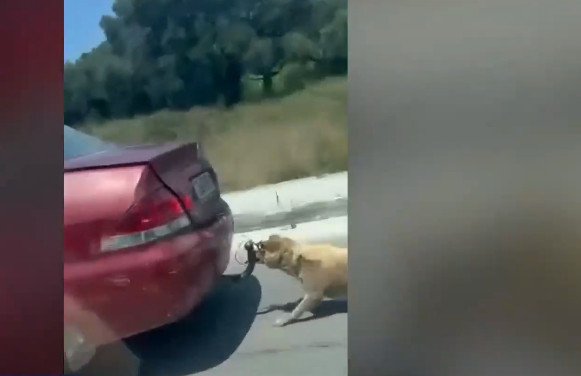 Εξοργιστικό βίντεο: Έσερνε σκυλί με το αυτοκίνητο δεμένο με σύρμα