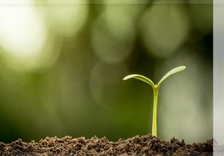 ΚΑΠ: Πώς θα ενισχυθούν οι παραγωγοί για τη χρήση ανθεκτικών και προσαρμοσμένων ποικιλιών