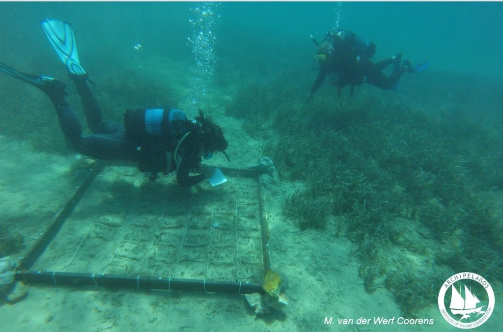 Ένας υποβρύχιος κήπος στους Λειψούς