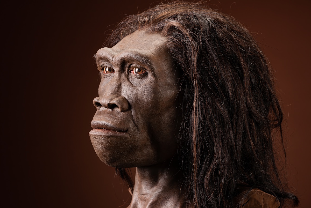 Ήταν οι προϊστορικοί συγγενείς μας κανίβαλοι; Κνήμη 1,45 εκατ. ετών έκρυβε μακάβρια ίχνη