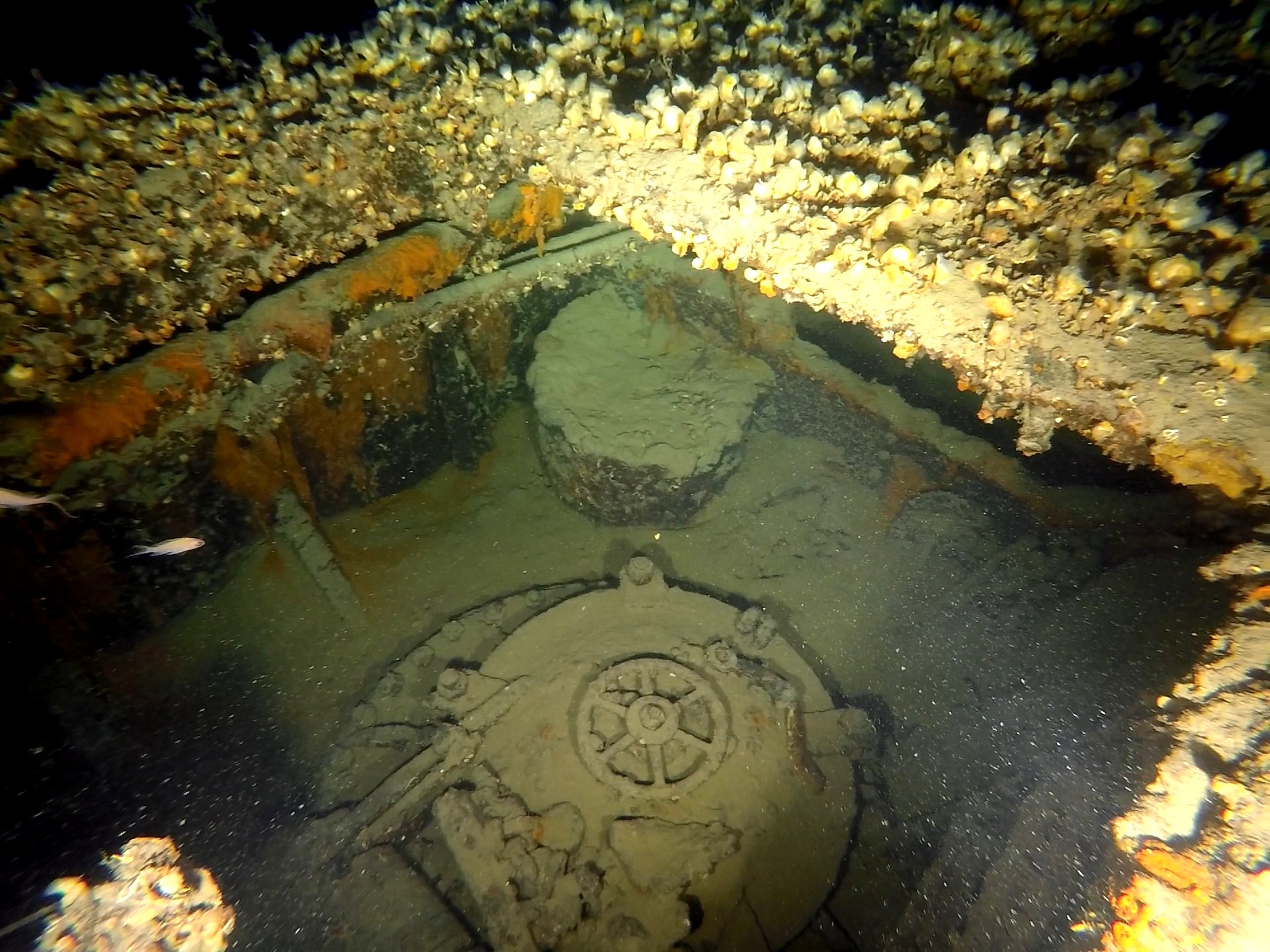 Υποβρύχιο «TRIUMPH»: Εντοπίστηκε στο Αιγαίο σε βάθος 203 μέτρων - Η συγκλονιστική ιστορία του