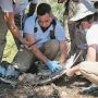Ελληνικό CSI για την εξιχνίαση εγκλημάτων κατά της άγριας ζωής