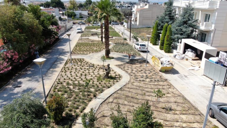 2.250 αρωματικά βότανα στην καρδιά του Αλίμου