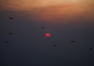 Καύσωνας: Πως αμύνονται τέσσερις πόλεις