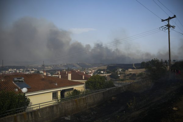 Τρίτος νεκρός από τις φωτιές: Απανθρακωμένος βρέθηκε ο 45χρονος βοσκός στη Μαγνησία