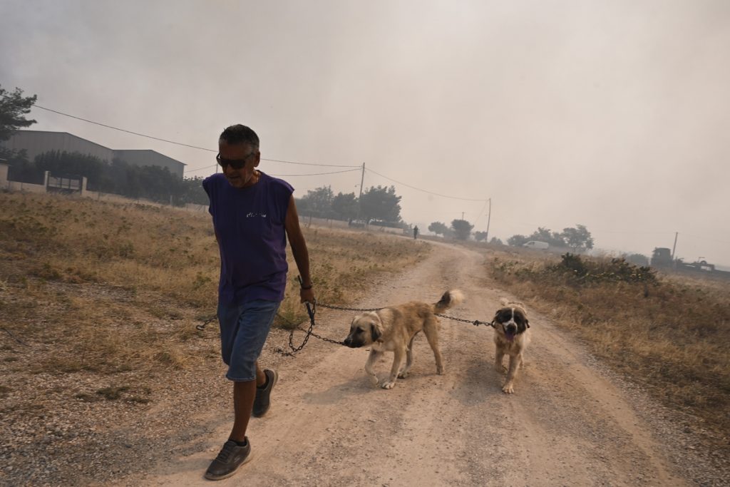 Ανατριχιαστικές οι περιγραφές από τη φωτιά στη Ρόδο – «Γύρω ήταν όλα καμένα και είχε κρανία από ζώα»