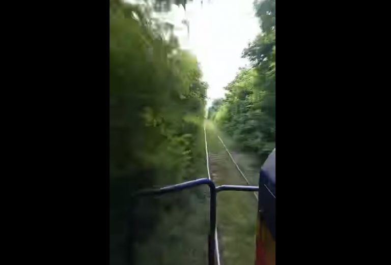 ΟΣΕ: Σιδηροδρομική γραμμή θαμμένη στη ζούγκλα – «Όταν 4 χρόνια έχουν εγκαταλειφθεί τα πάντα στην τύχη τους»