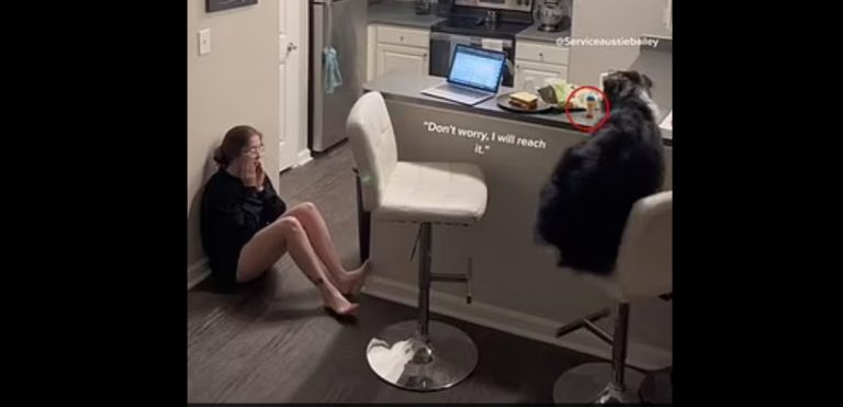 Σκύλος σώζει την ιδιοκτήτριά του από την λιποθυμία φέρνοντάς της χάπια και νερό – Δείτε το βίντεο