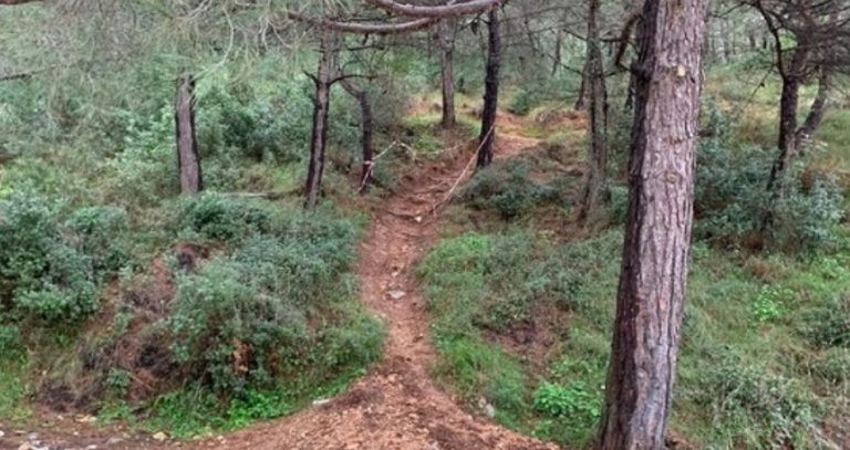 Υμηττός: Εμπρηστικός μηχανισμός εντοπίστηκε από εθελοντή πυροφύλακα