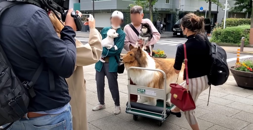 Ιάπωνας ξόδεψε 13.500 ευρώ για μια στολή σκύλου και έκανε την πρώτη του δημόσια εμφάνιση με αυτήν